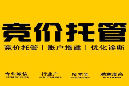 竞价代运营的优化过程：从初试到精通的转变